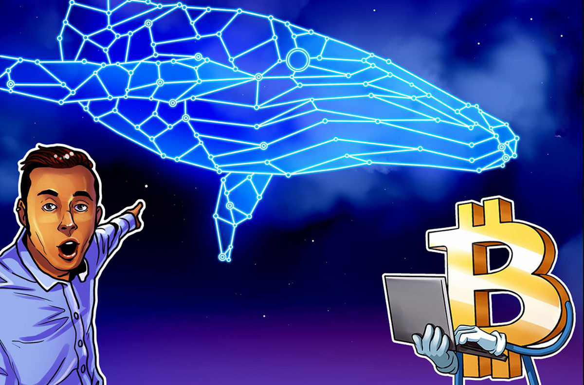 Santiment数据：比特币（BTC）巨鲸于7.1万美元价位再度开启囤积行动